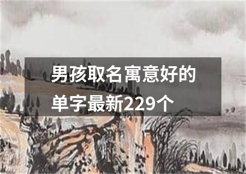 男孩取名寓意好的单字最新229个