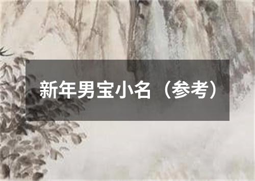 新年男宝小名(参考)