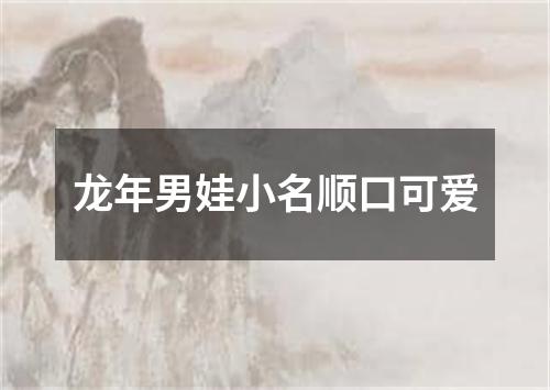 龙年男娃小名顺口可爱