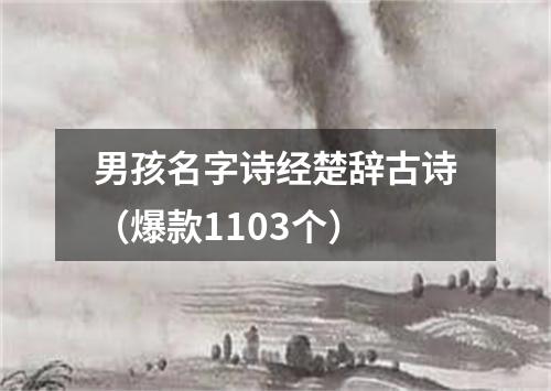男孩名字诗经楚辞古诗(爆款1103个)
