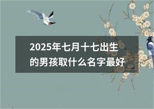 2025年七月十七出生的男孩取什么名字最好