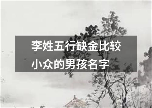 李姓五行缺金比较小众的男孩名字