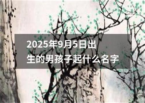 2025年9月5日出生的男孩子起什么名字