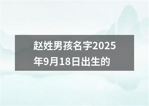 赵姓男孩名字2025年9月18日出生的