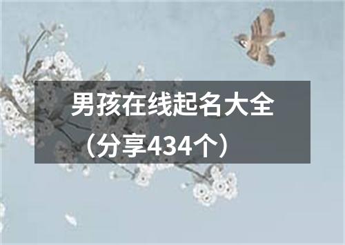 男孩在线起名大全（分享434个）