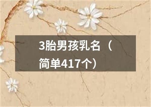 3胎男孩乳名（简单417个）
