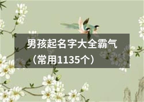 男孩起名字大全霸气（常用1135个）