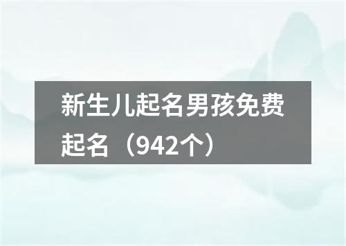新生儿起名男孩免费起名（942个）