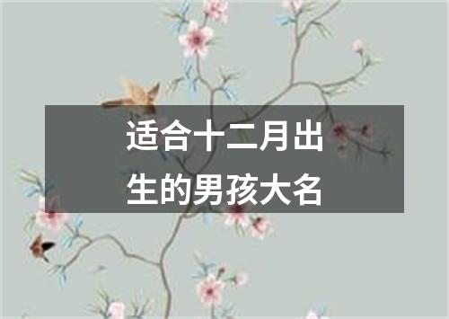 适合十二月出生的男孩大名