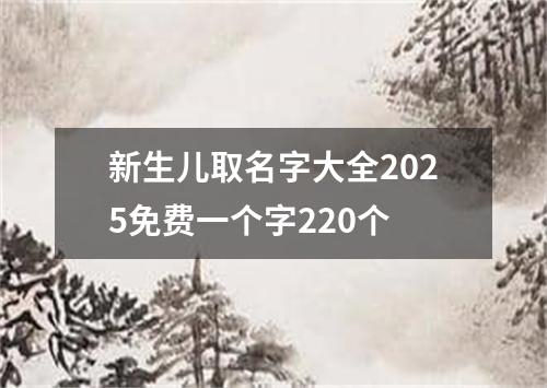 新生儿取名字大全2025免费一个字220个