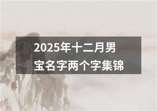 2025年十二月男宝名字两个字集锦