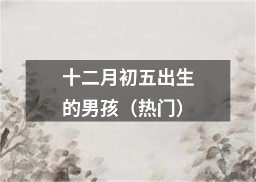 十二月初五出生的男孩（热门）