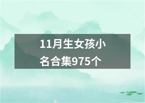 11月生女孩小名合集975个