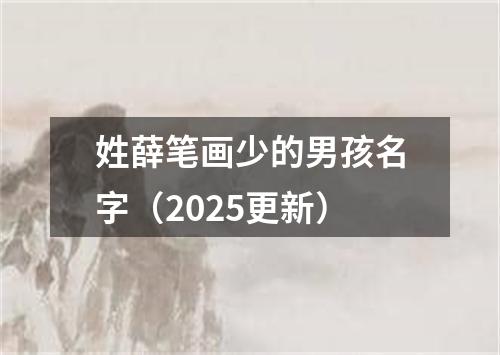 姓薛笔画少的男孩名字（2025更新）