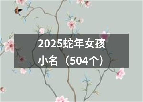 2025蛇年女孩小名（504个）