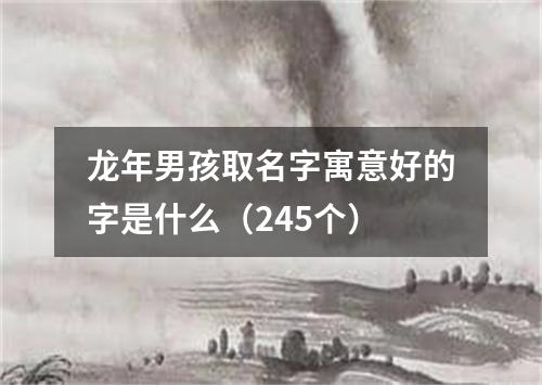 龙年男孩取名字寓意好的字是什么（245个）