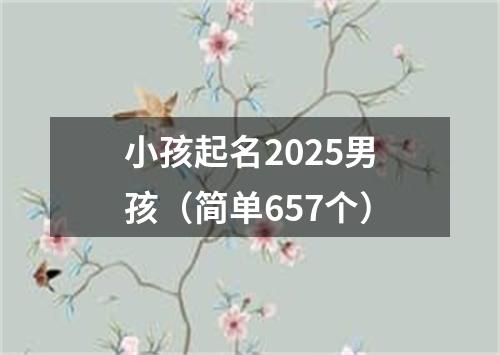 小孩起名2025男孩（简单657个）