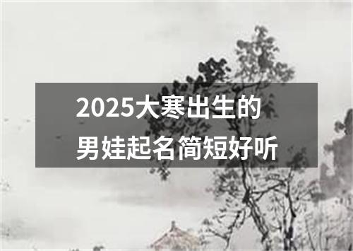 2025大寒出生的男娃起名简短好听