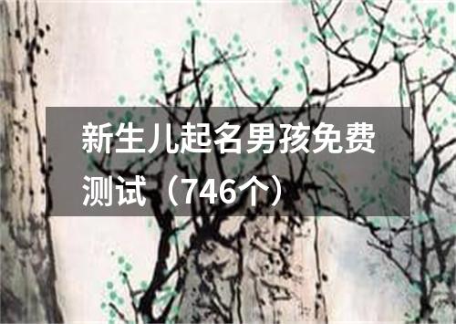 新生儿起名男孩免费测试（746个）