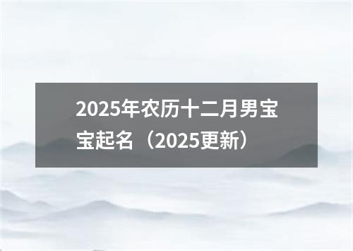 2025年农历十二月男宝宝起名（2025更新）