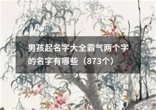 男孩起名字大全霸气两个字的名字有哪些（873个）