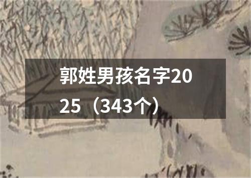 郭姓男孩名字2025（343个）