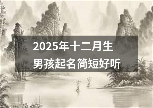 2025年十二月生男孩起名简短好听