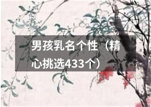 男孩乳名个性（精心挑选433个）