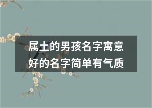 属土的男孩名字寓意好的名字简单有气质