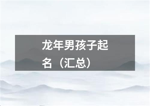龙年男孩子起名（汇总）