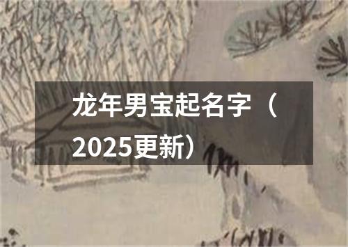 龙年男宝起名字（2025更新）