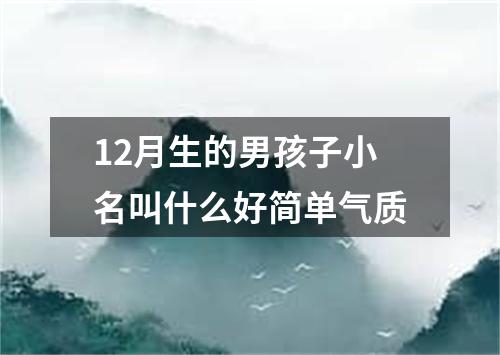 12月生的男孩子小名叫什么好简单气质