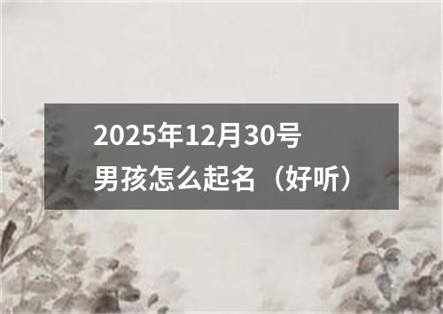 2025年12月30号男孩怎么起名（好听）