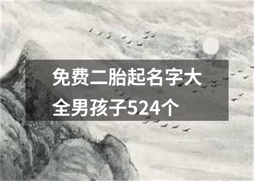 免费二胎起名字大全男孩子524个