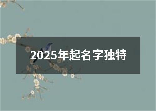 2025年起名字独特