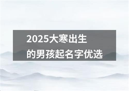2025大寒出生的男孩起名字优选