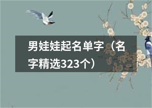 男娃娃起名单字（名字精选323个）