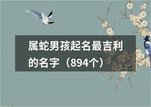 属蛇男孩起名最吉利的名字（894个）