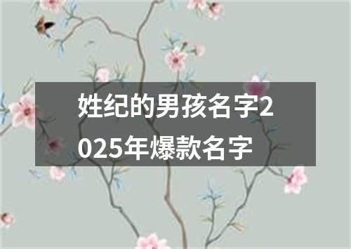 姓纪的男孩名字2025年爆款名字