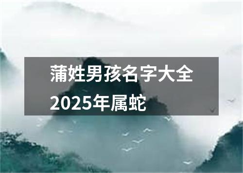 蒲姓男孩名字大全2025年属蛇