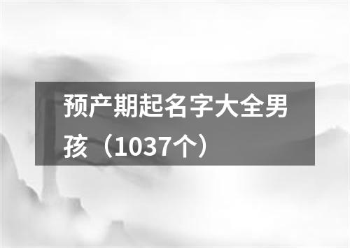 预产期起名字大全男孩（1037个）