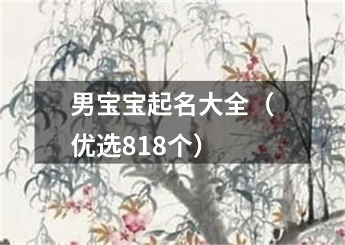 男宝宝起名大全（优选818个）