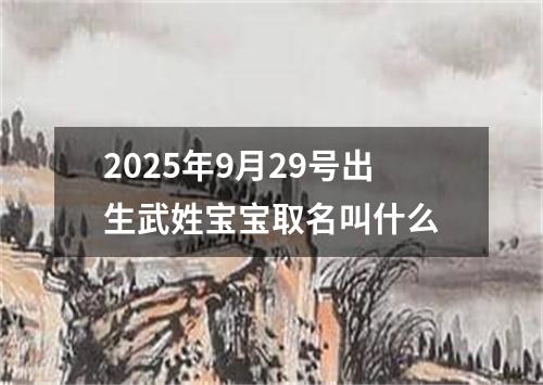 2025年9月29号出生武姓宝宝取名叫什么
