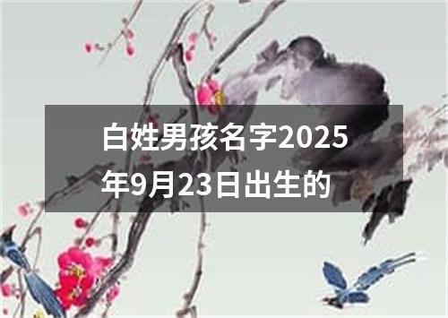 白姓男孩名字2025年9月23日出生的