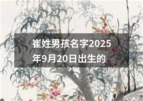 崔姓男孩名字2025年9月20日出生的