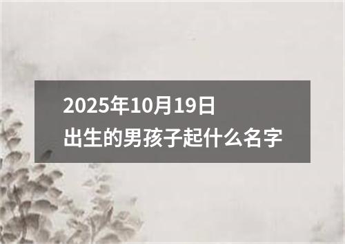 2025年10月19日出生的男孩子起什么名字