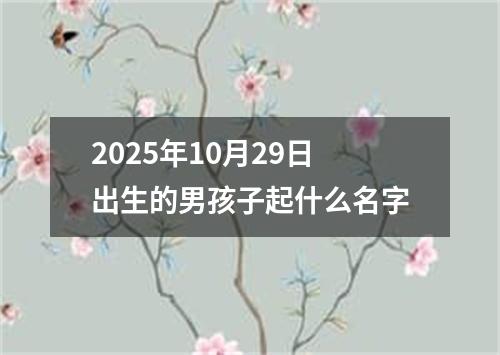 2025年10月29日出生的男孩子起什么名字