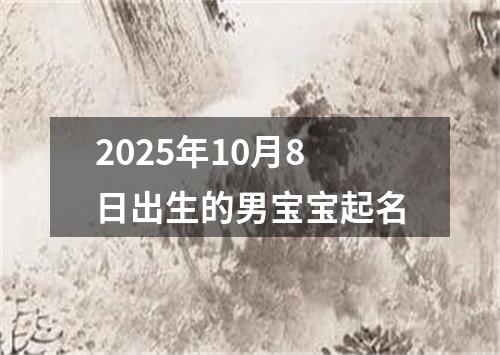 2025年10月8日出生的男宝宝起名