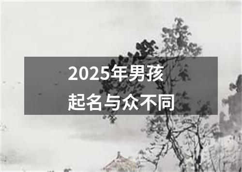 2025年男孩起名与众不同