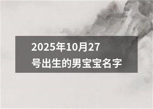 2025年10月27号出生的男宝宝名字